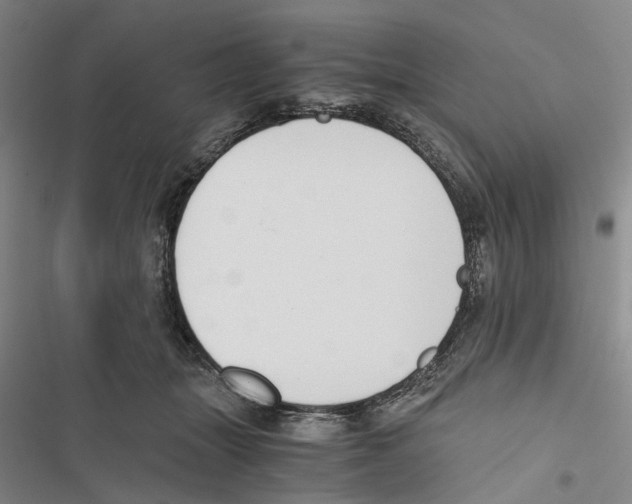 X0000116860463201001191705