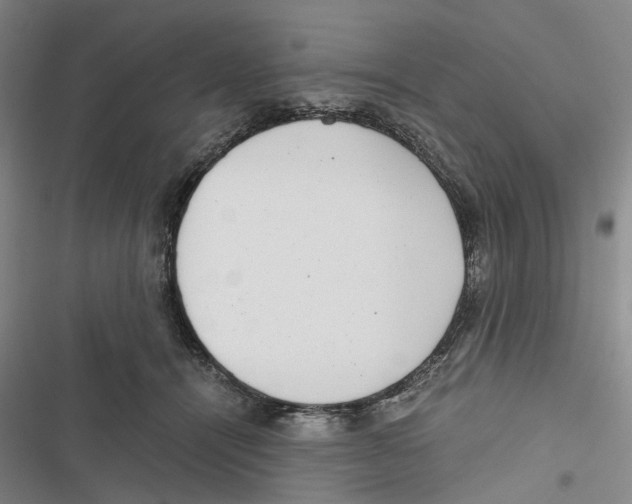 X0000116860464201001191705