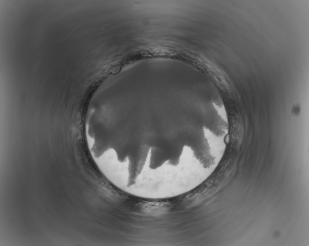 X0000116860465201001191705