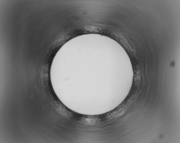 X0000116860466201001191705