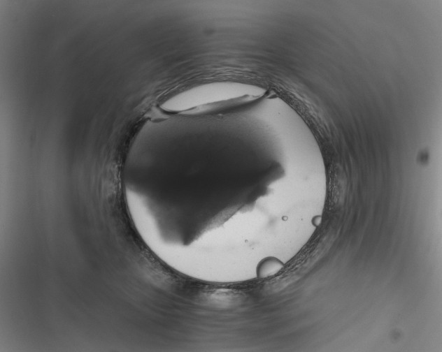 X0000116860467201001191705