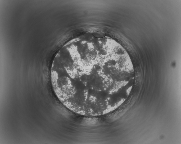 X0000116860469201001191705