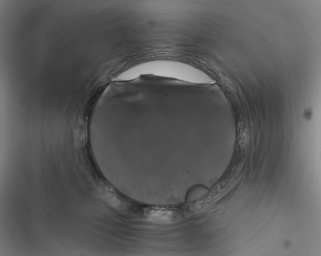 X0000116860471201001191705