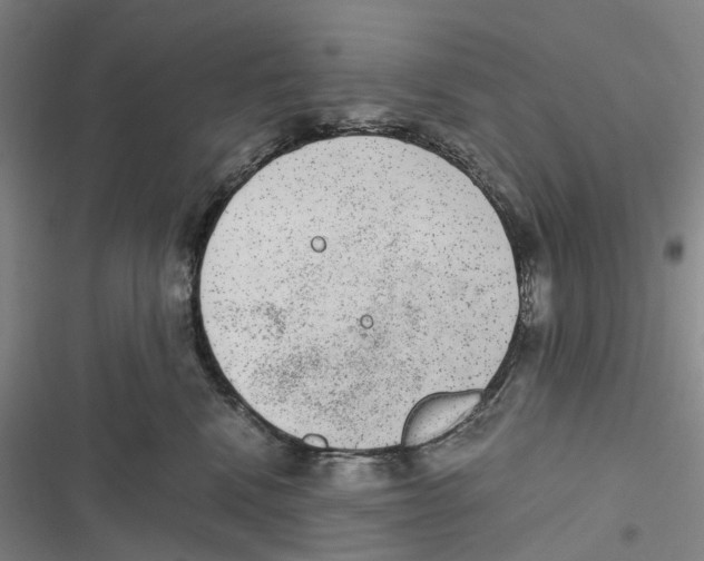 X0000116860472201001191705