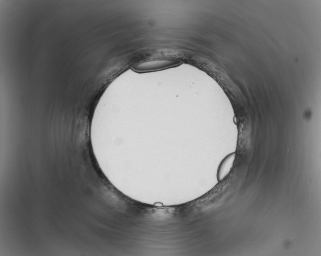 X0000116860474201001191705