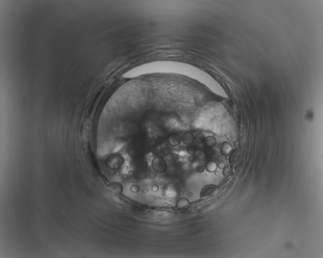 X0000116860475201001191705