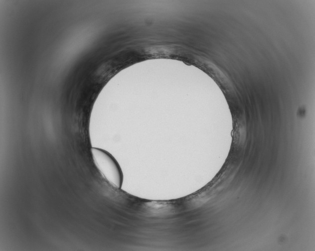 X0000116860477201001191705