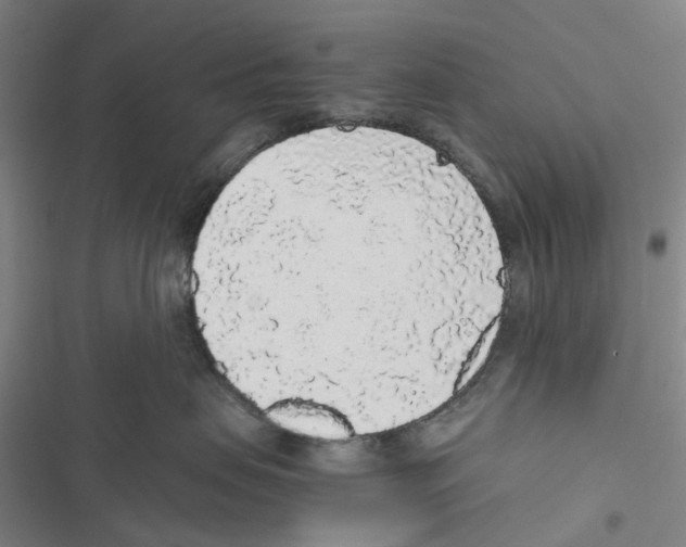 X0000116860479201001191705