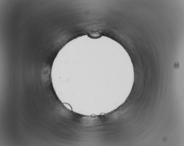 X0000116860480201001191705