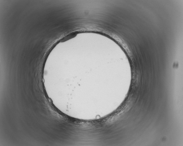 X0000116860481201001191705