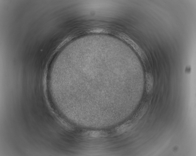 X0000116860482201001191705