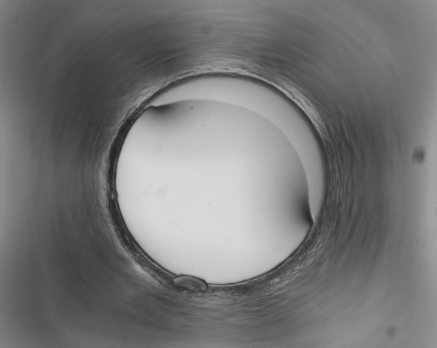 X0000116860485201001191705