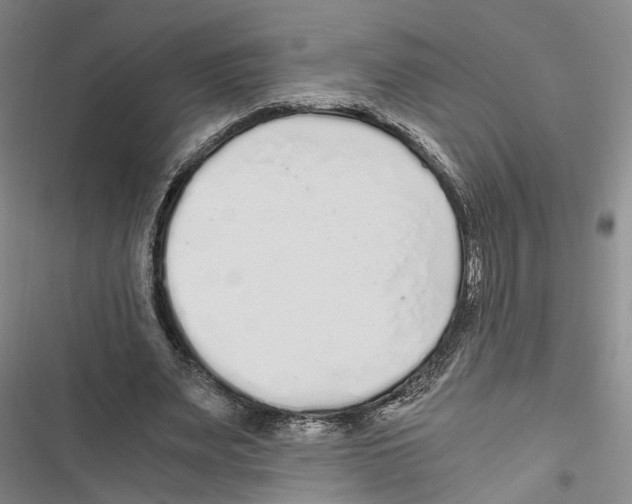 X0000116860487201001191705