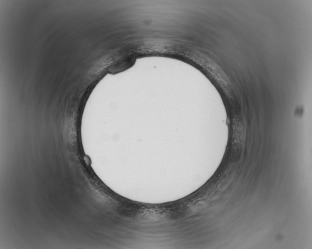 X0000116860489201001191705