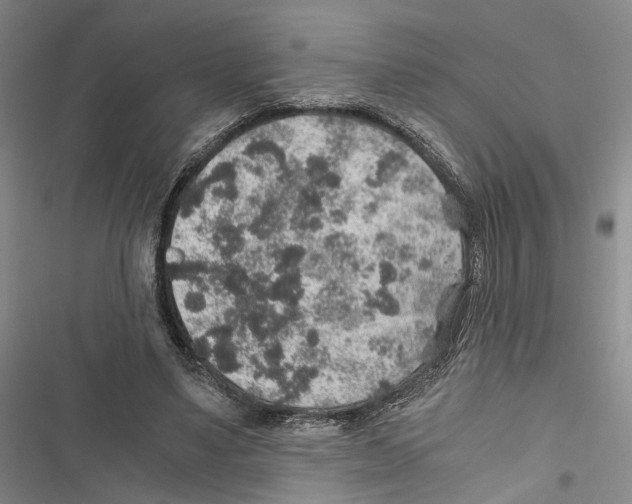 X0000116860491201001191705