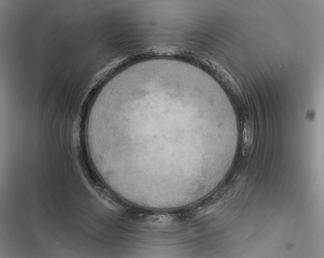 X0000116860492201001191705