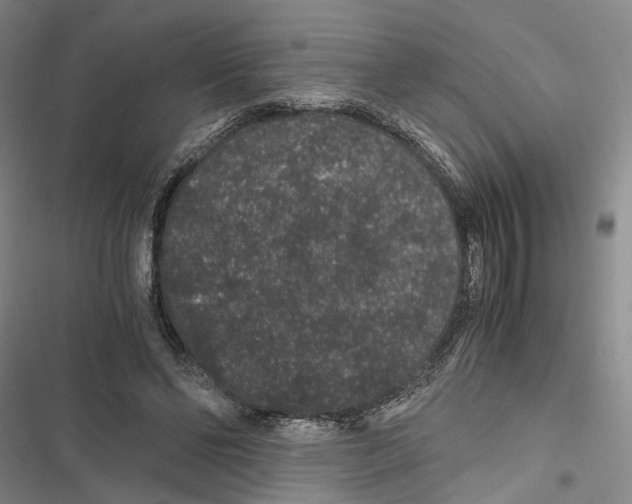 X0000116860494201001191705