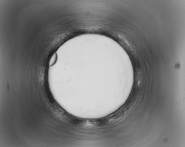 X0000116860495201001191705