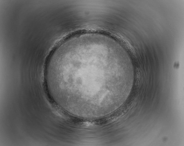 X0000116860496201001191705