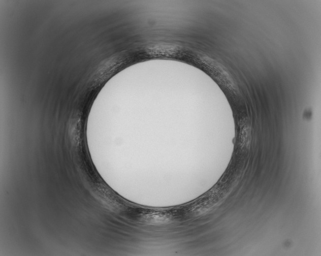 X0000116860498201001191705