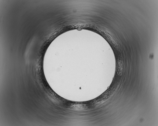 X0000116860499201001191705