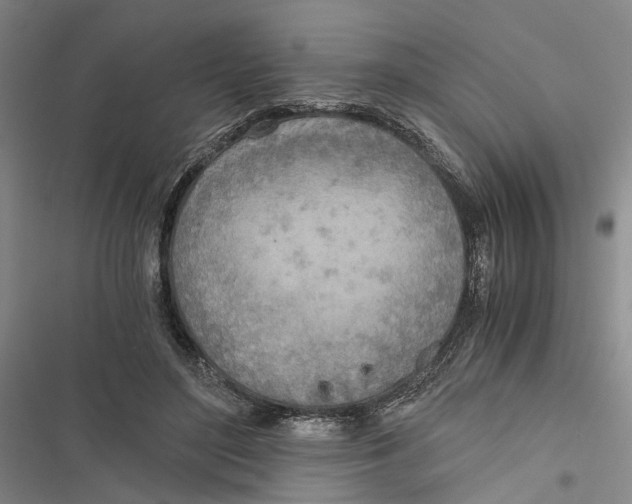 X0000116860500201001191704