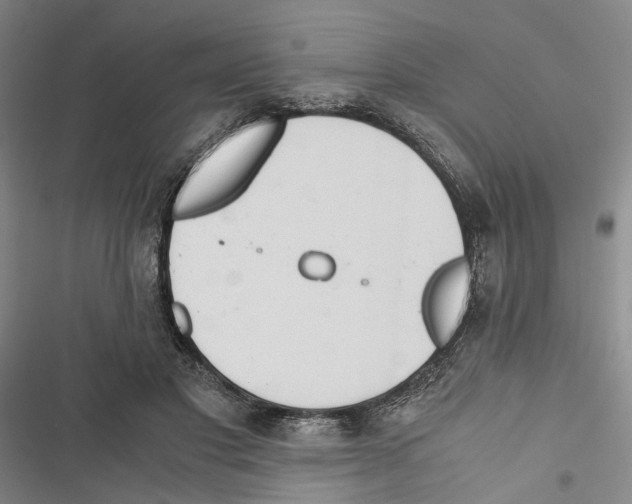 X0000116860501201001191704