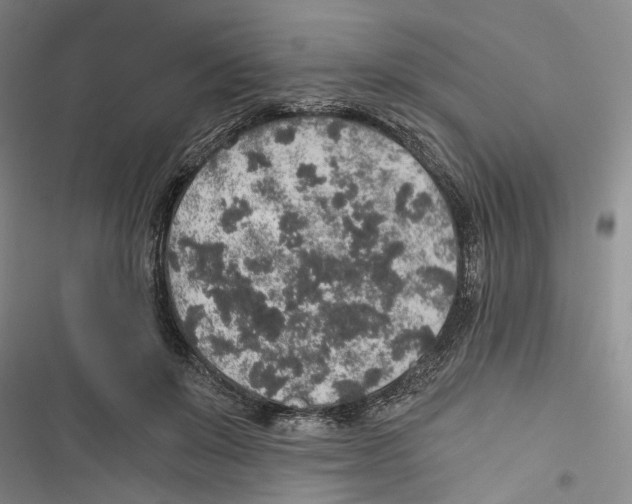 X0000116860503201001191704