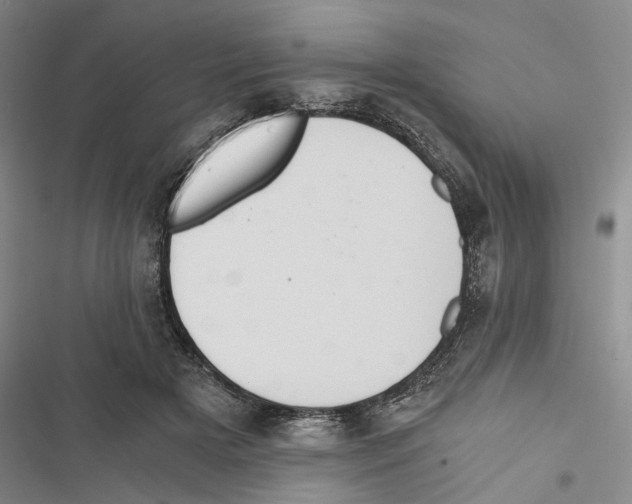 X0000116860505201001191704