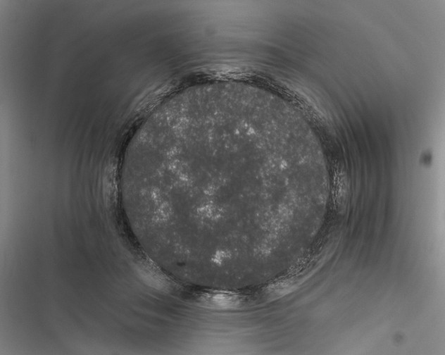 X0000116860506201001191704