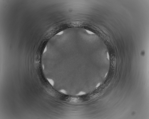 X0000116860507201001191704