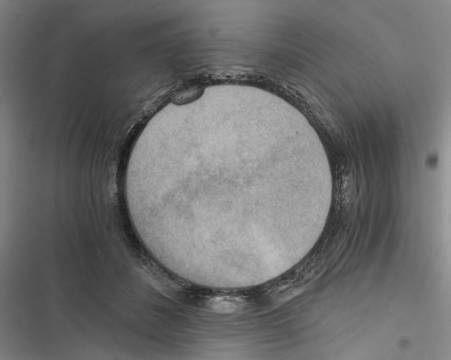 X0000116860508201001191704