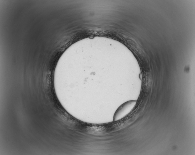 X0000116860511201001191704