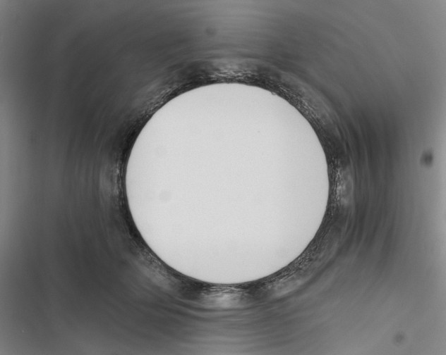 X0000116860514201001191704