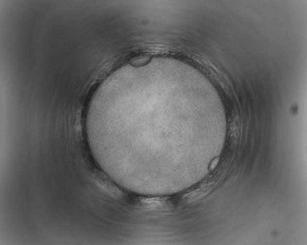 X0000116860516201001191704