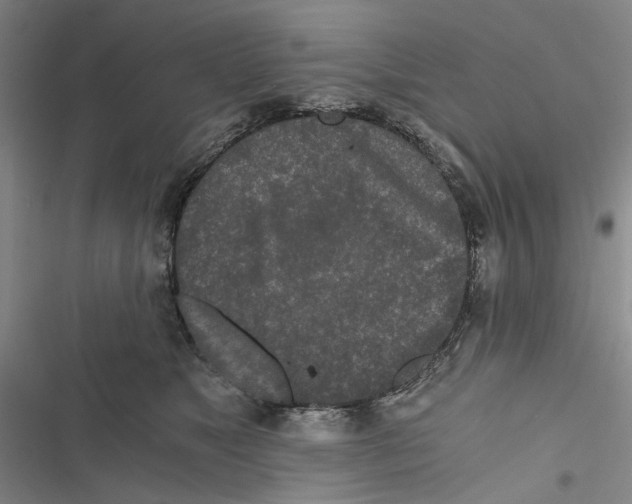 X0000116860517201001191704