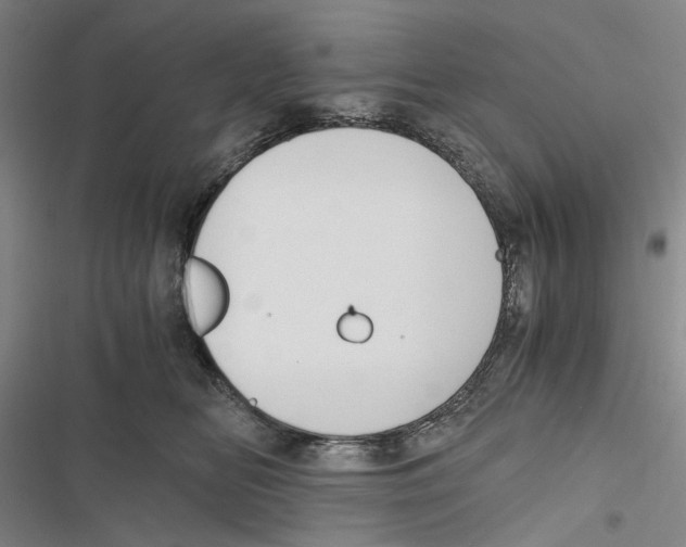 X0000116860518201001191704