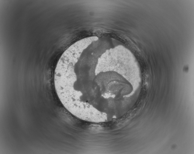 X0000116860519201001191704