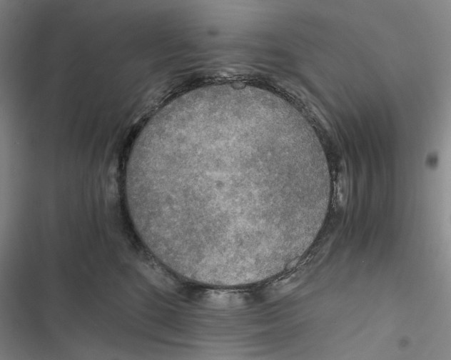 X0000116860520201001191704