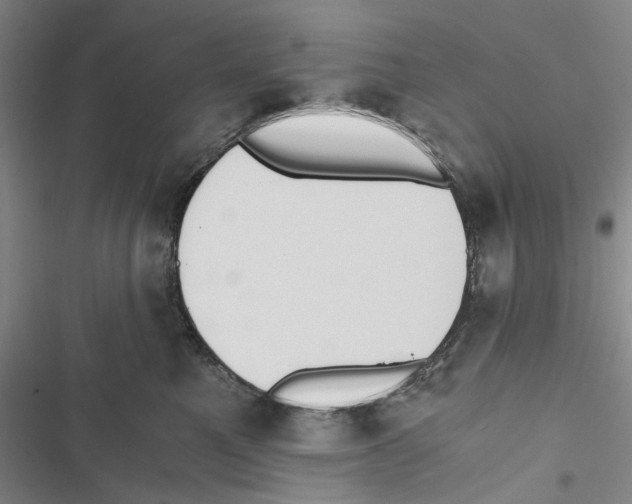 X0000116860521201001191704