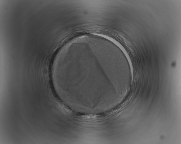 X0000116860524201001191704