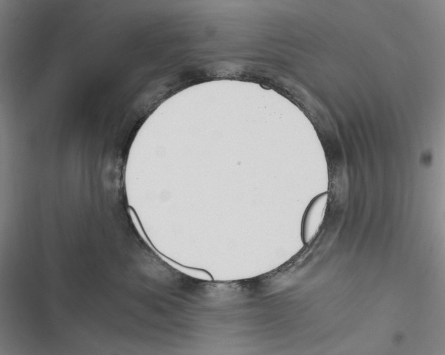 X0000116860525201001191704