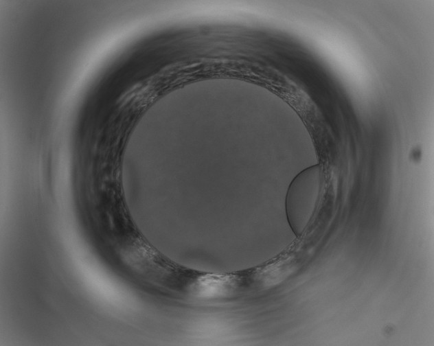 X0000116860526201001191704