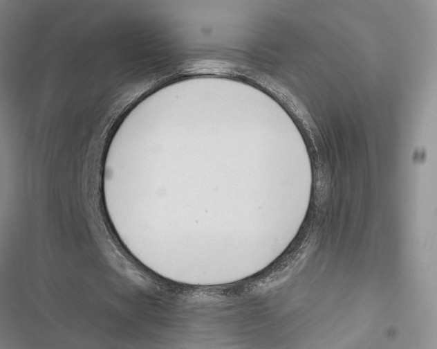 X0000116860529201001191703