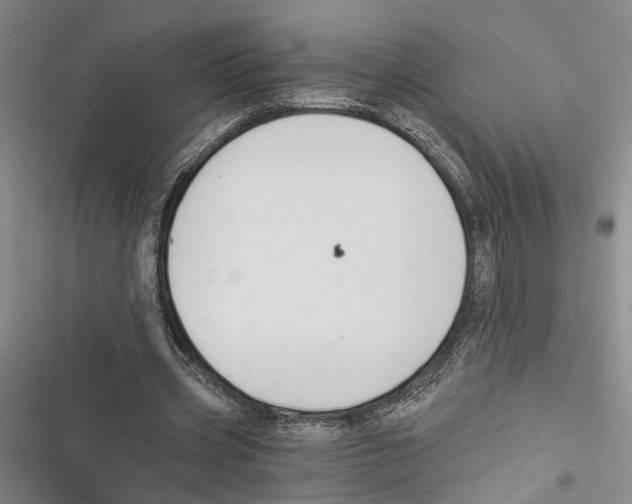 X0000116860533201001191704