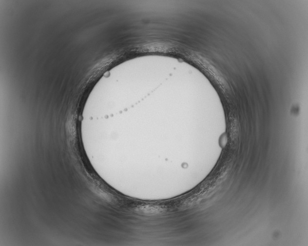 X0000116860537201001191704