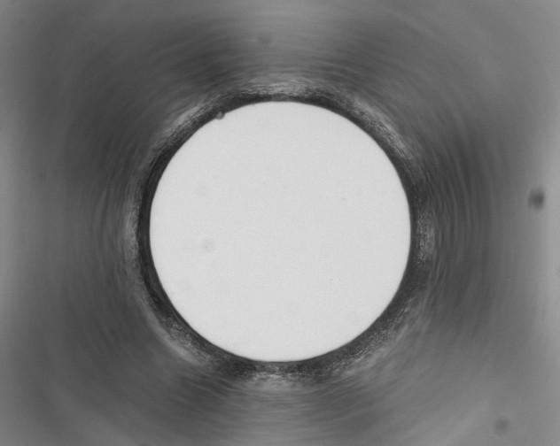 X0000116860538201001191704