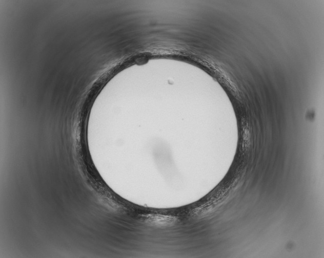 X0000116860539201001191704