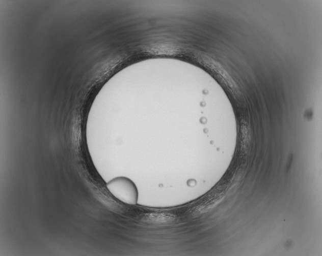 X0000116860541201001191704