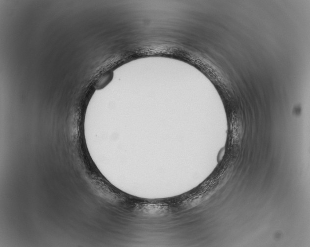 X0000116860546201001191704